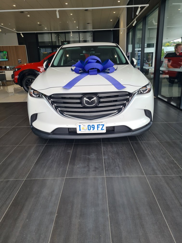 The Beast - Mazda CX-9